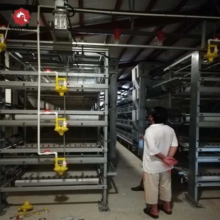 Broiler poultry feeding used automatic h type chicken broiler cage