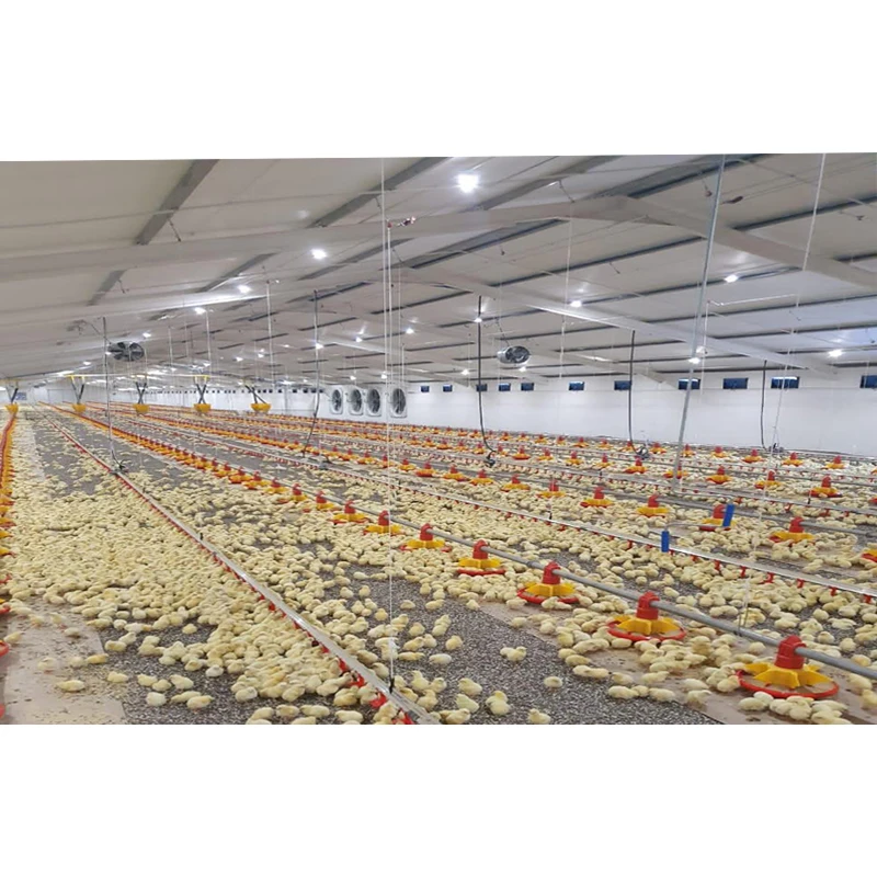china cheap poultry farming prefabricated Farm chicken house