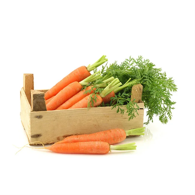 Shandong Fresh Carrot Cheap Price Chinese Fresh Carrots For Export Nutritious and Tasty China Fresh Vegetables