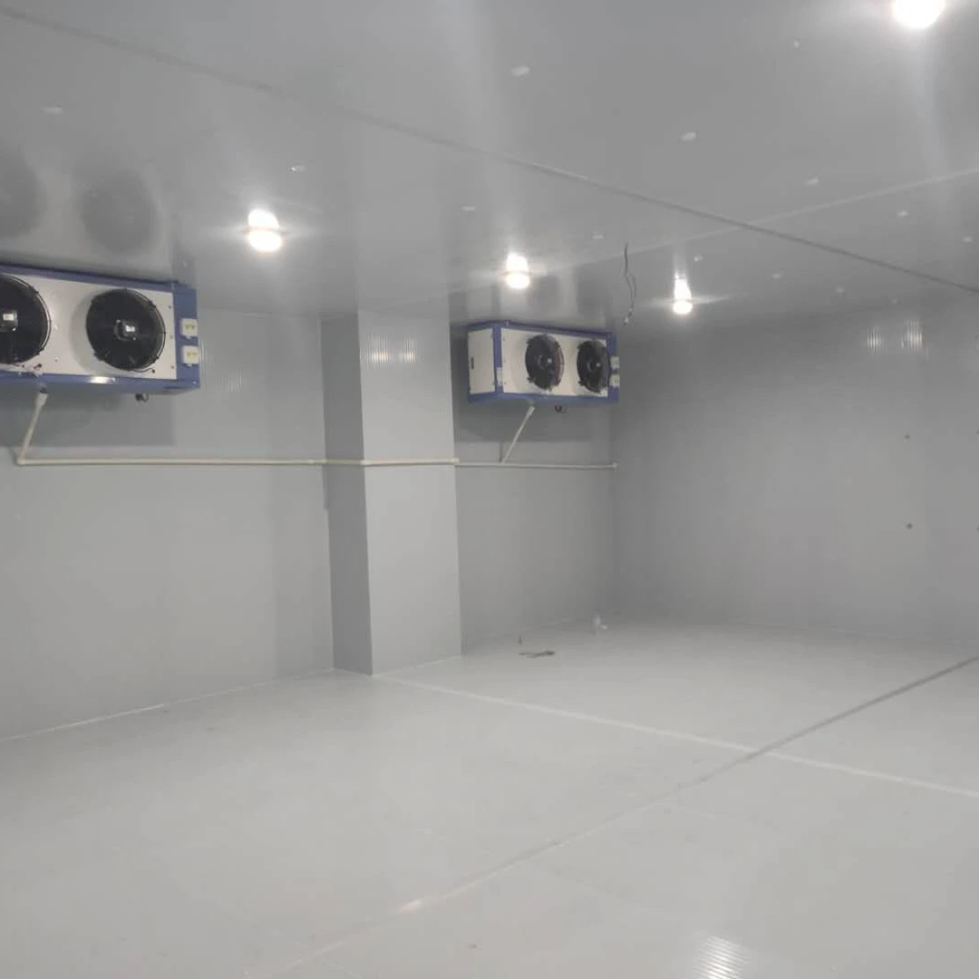 Factory Walk In Blast Food Seafood Deep Freezer Chiller Cold Room For Meat