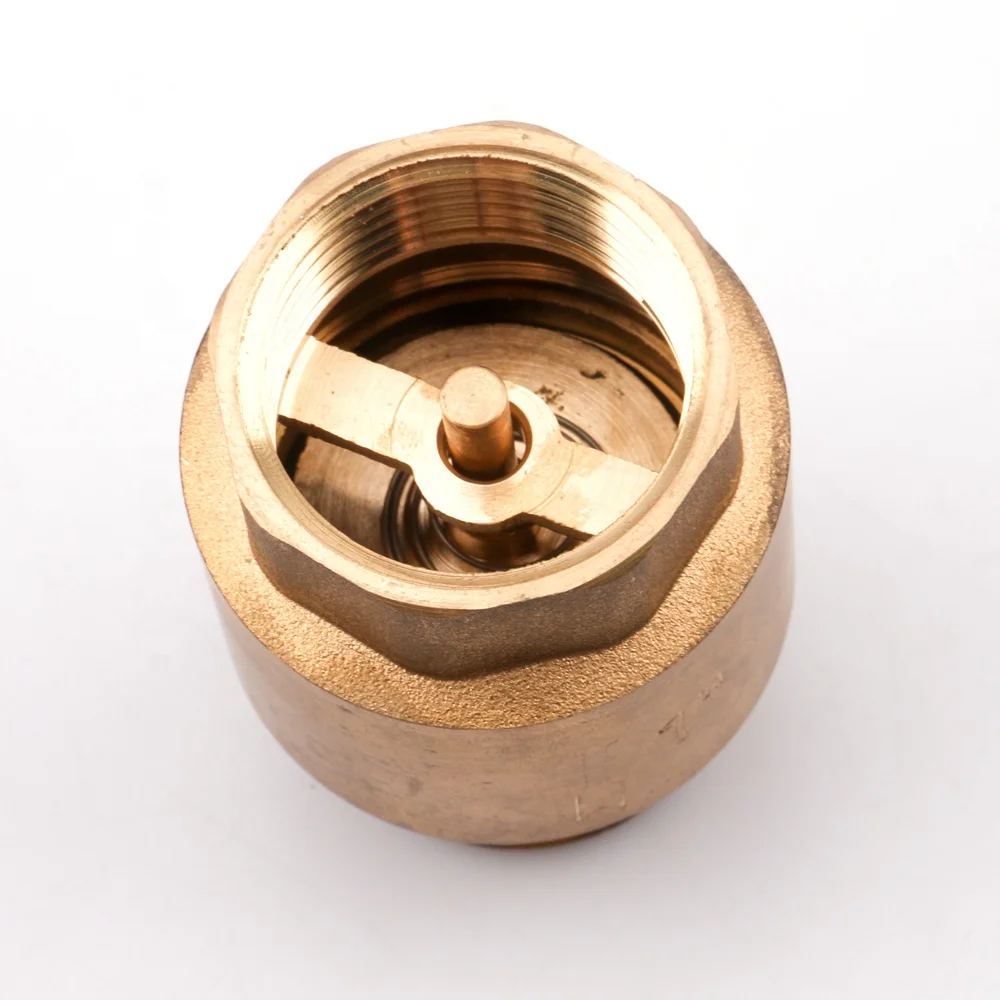 Vertical spring non-return brass core water check valve hydraulic non return valve