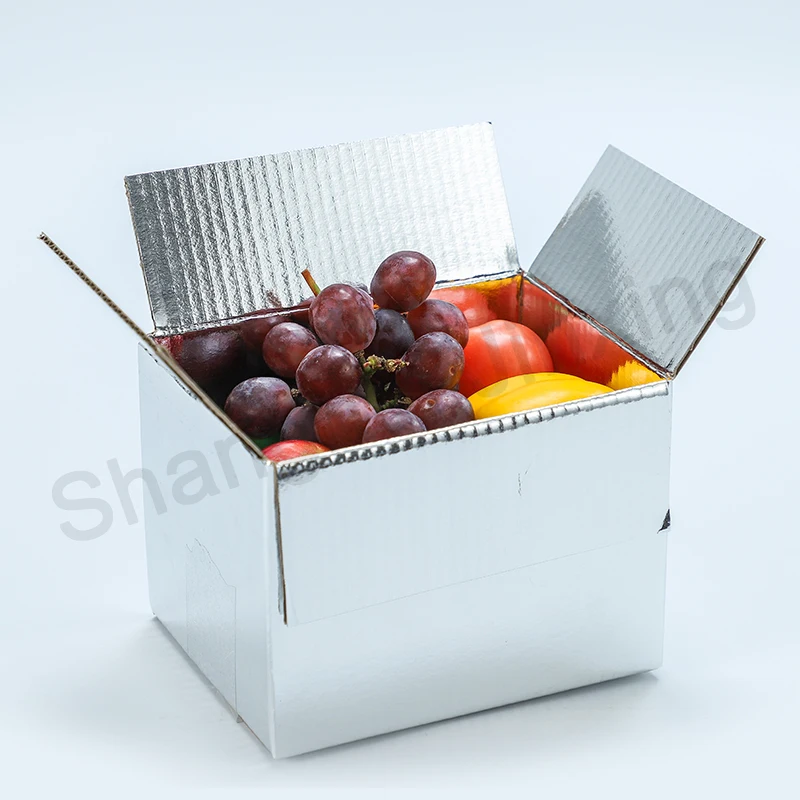 Insulation Shipping Carton Fresh cooler paper box  Delivery cajas de carton isothermic food containers