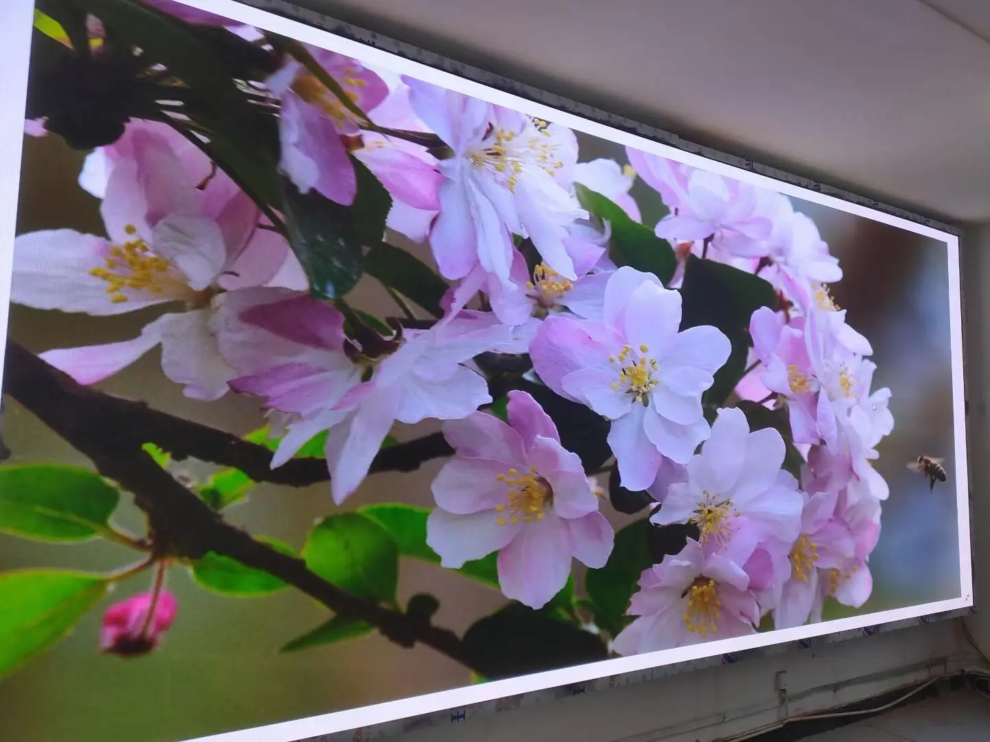 4K 8K Small Pixel Led Video Wall Panel High Refresh Rate P1.5 Led Display Screen with Standing Support for Filming/conference