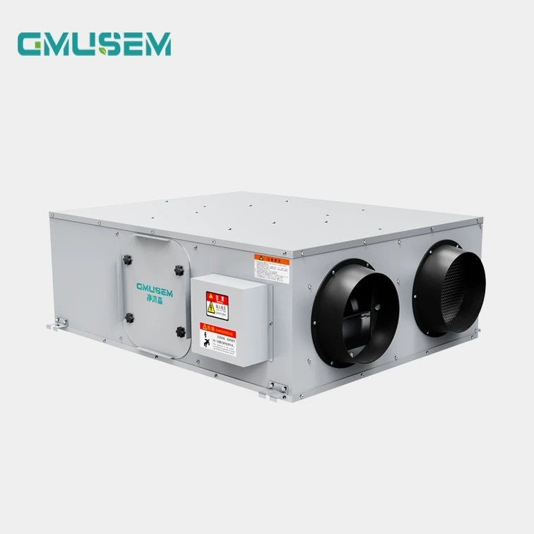 Smart Controller Ceiling ventilation with 3 filters kill bacteria remove PM2.5 ERV Heat Recovery Ventilation