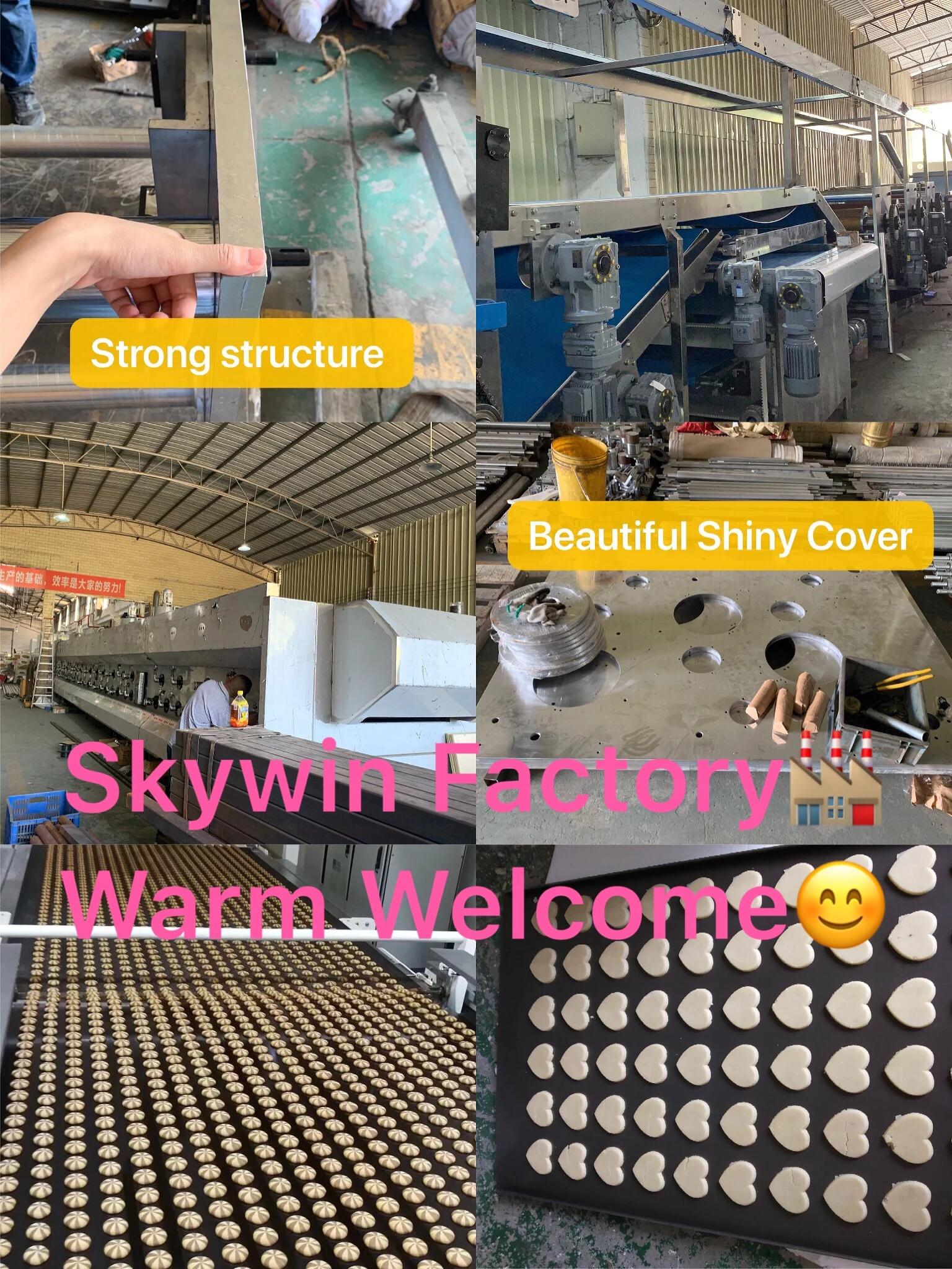 
Chocolate Hello Panda and Cracker Hard Biscuit Making Machine Automatic Production Line Price 