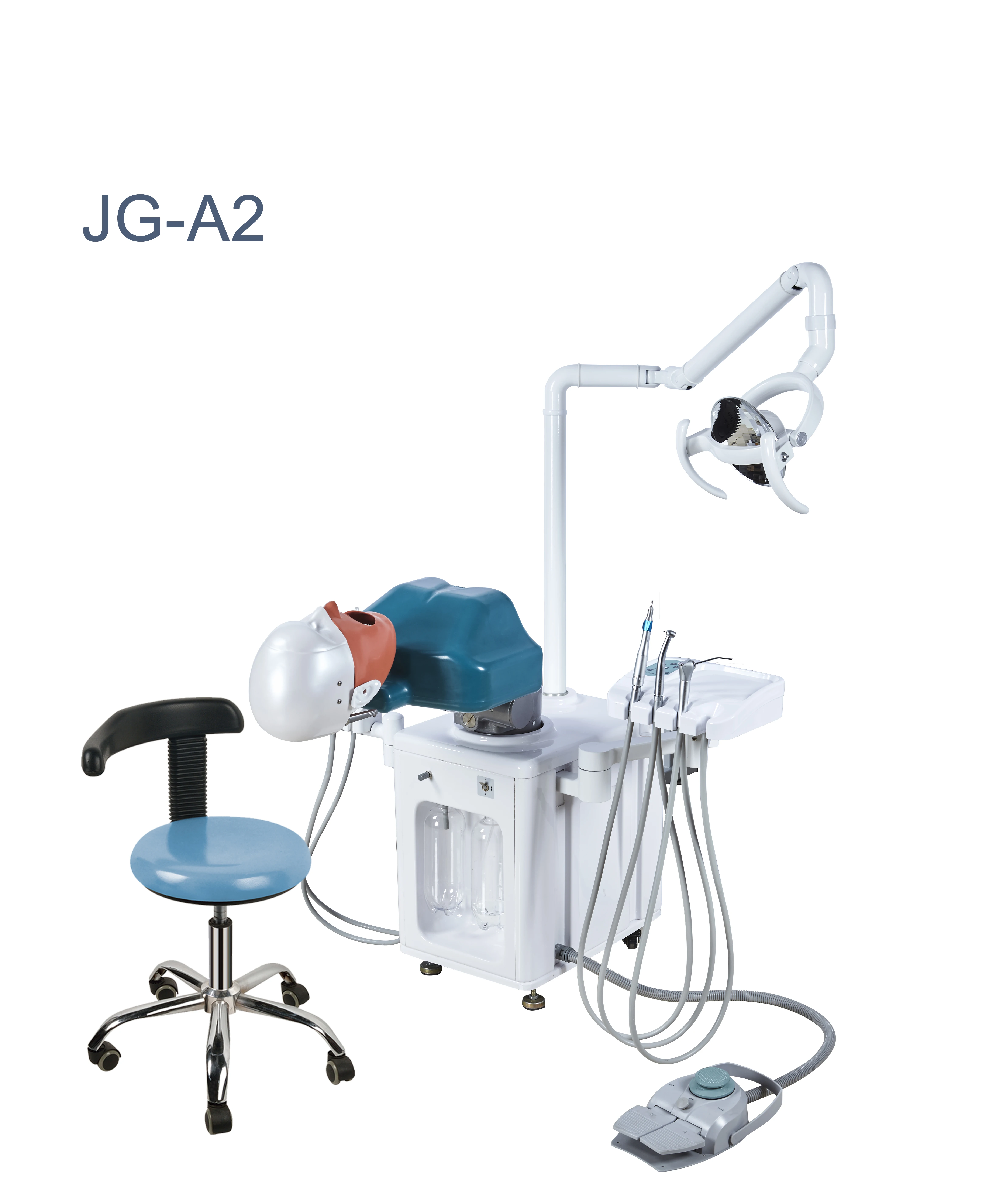 Dental Simulator Manikin Phantom Head Model with 360-Degree Adjustment Resin Teeth Plastic Metal Steel Training Model