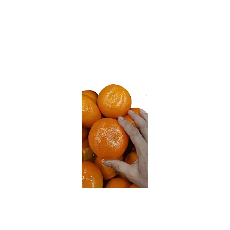 
Hot Selling Product Natural Satsuma Sweet Taste Sugar Fresh Orange Tangerine 