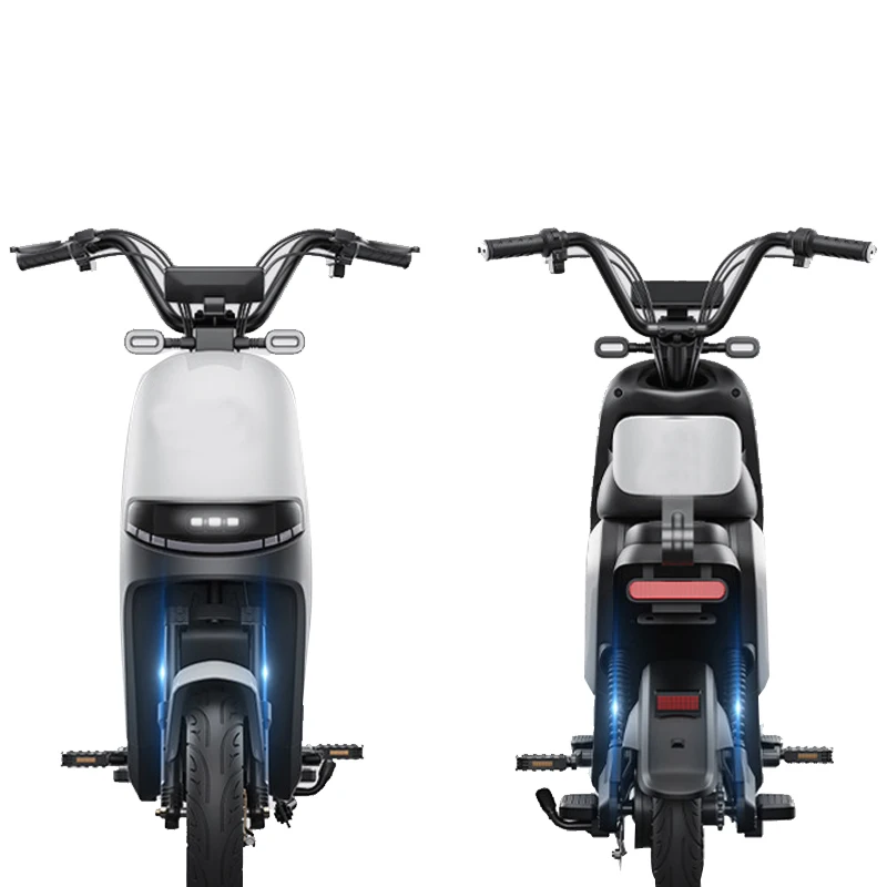 Paige 2024 New Style Model Electric Bicycle Adult 20Inch 1000W Rechargeable E-Bike Cycle Xingtu