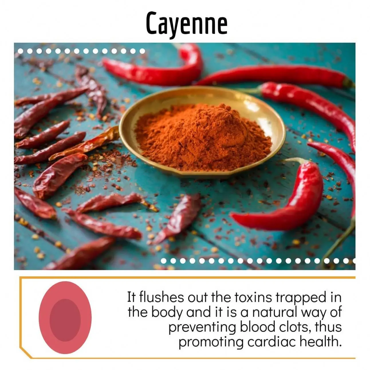 OEM Nitric Oxide Supplement With L Arginine Blood Circulation Supplements Poor Circulation and Vein Support Nitric Oxide Booster