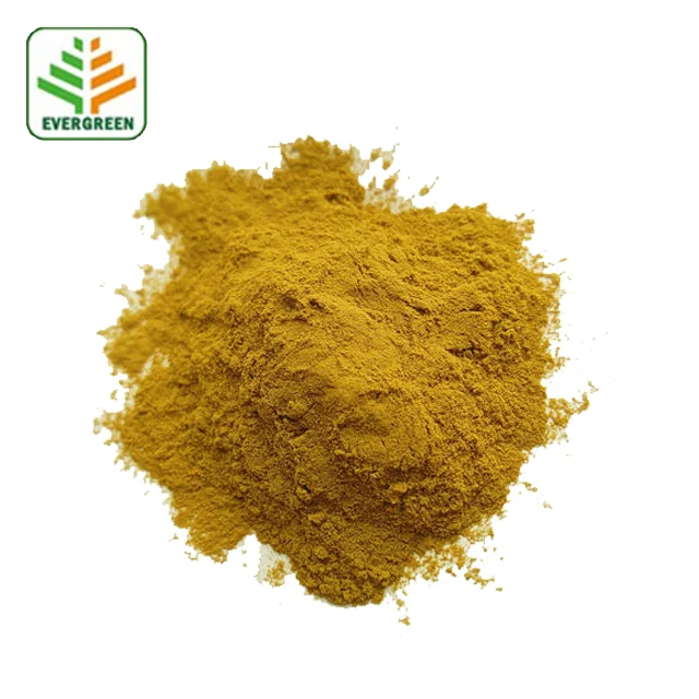 Vegan protein private label custom with different flavor organic vegan protein powder