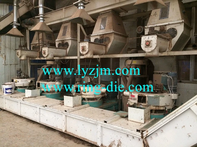 XGJ560 wood pellet line.jpg