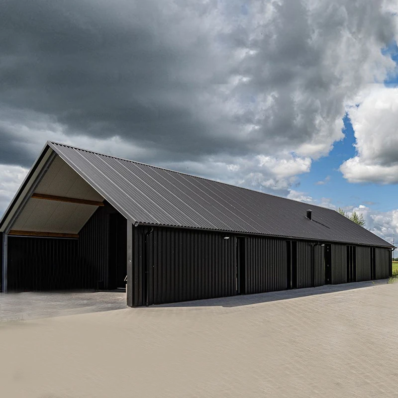 Storage and Refrigeration Automobile Repair Shop prefabricated warehouse prefabricated steel structure steel warehouse building