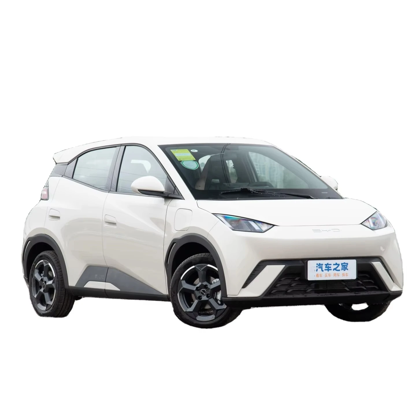 2024 New  Electric Car Auto Seagull New Energy Vehicle Electro Car Mini Dolphin  Seagull Electric EV Car for sales