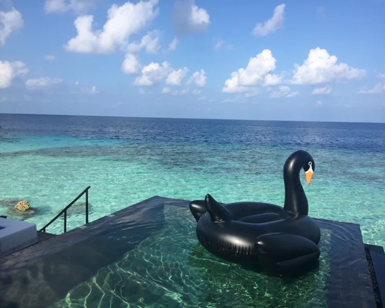 Summer Party Outdoor Water Recreation Swimming Pool Toys Black Swan Inflatable Ride-On Pool Float Island