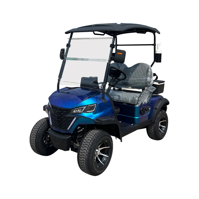 WELIFTRICH cheap single seat 2 seat mini electric golf carts for golf course