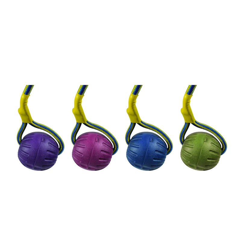 Wholesale EVA IQ Treat Interactive Pet Toy Pet Training Chew Ball With Rope