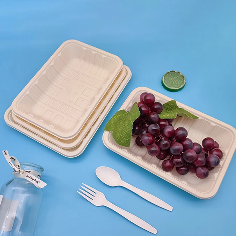 Customized size round tray cornstarch dinnerware 3 compartment plates for fast food