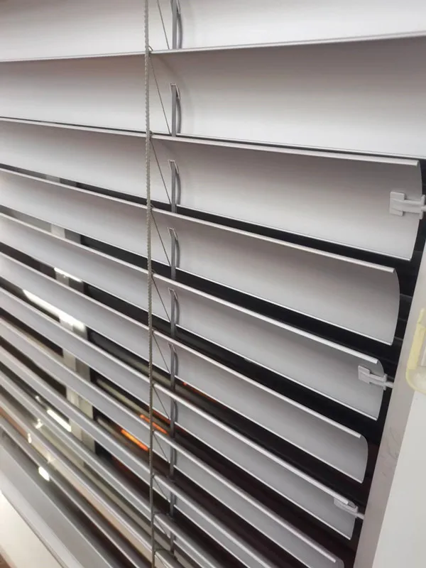 Outdoor Windproof Sunshade Aluminium Alloy Blades Roller Blinds Shutters Automatic and Security Rolling Shutters for Window