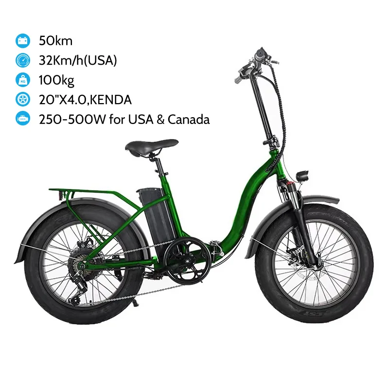 48V 250W Beach Fat Tire Electric Bike 20inch Ebike With Very Cheap Price