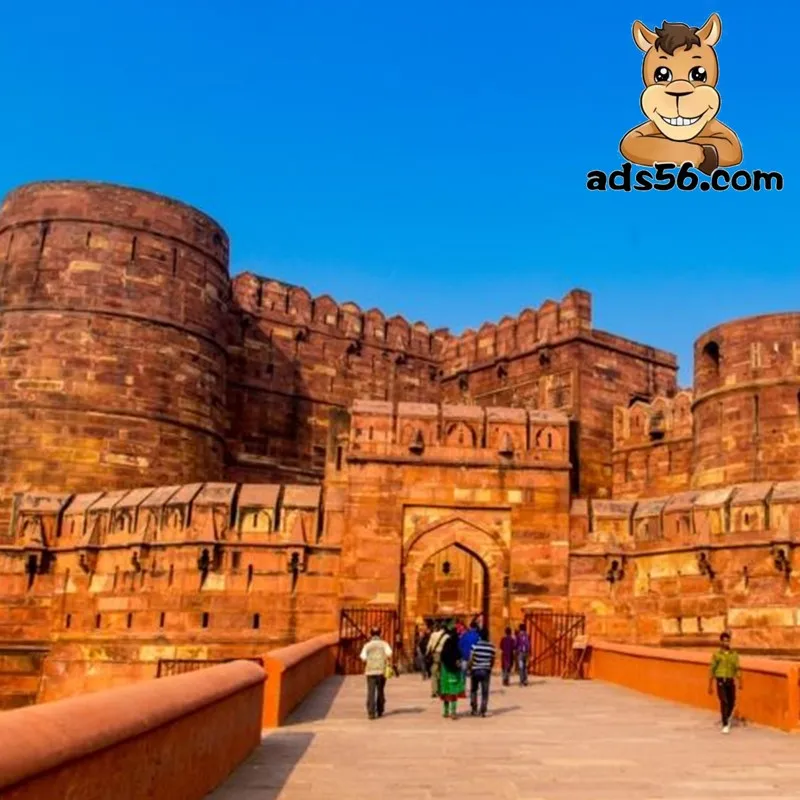 Cheap and fast express delivery to Qatar Azerbaijan freight forwarder with door to door