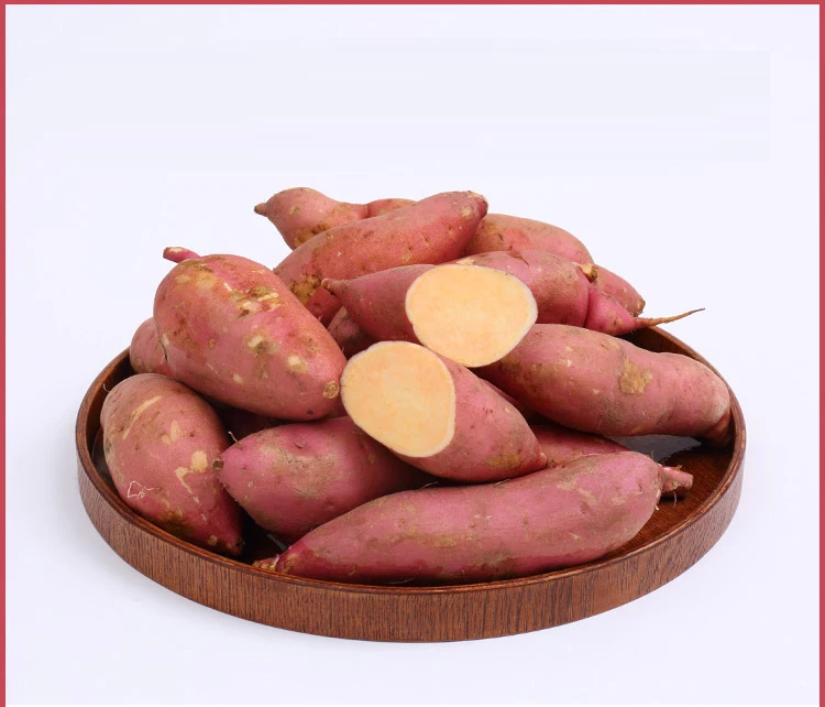 KWS Canned sweet potato for kitchen food supplies