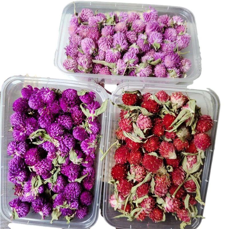 Dried flowers head Globe Amaranth   flower ring decoration handicraft decoration