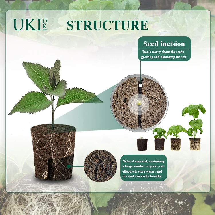 Ukiok Replacement Compatible Eco-Friendly PH Balanced Seed Starter Pods Root  Grow Sponges