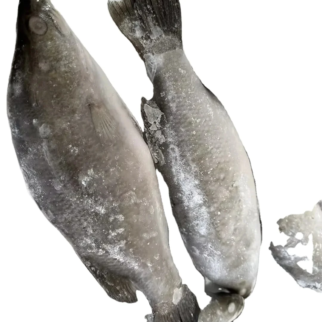 Фабрика basa Рыбное остекление 0-30% IQF basa fish хорошая цена
