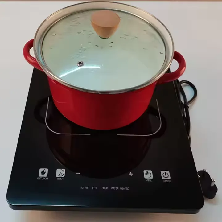 Kitchen Appliances Multifunctional Electric Cooker Induction Stove