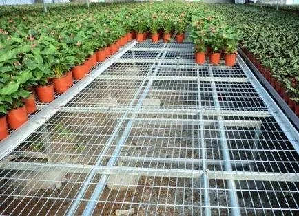 Сельское хозяйство парниковые скамейки для рассады
