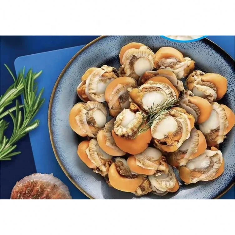 
IQF Healthy Delicious Cooked Frozen Best Sea Scallop Meat 