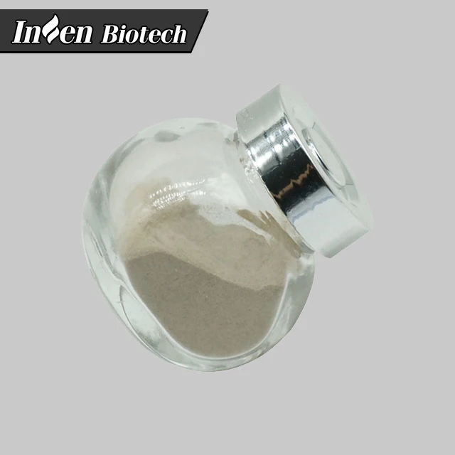 
Neutral Protease CAS 95077-02-4 Serrapeptase Enzymes 