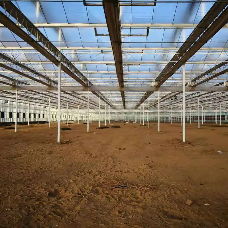 2024 китайская фабрика быстрая доставка лист из поликарбоната теплица для продажи