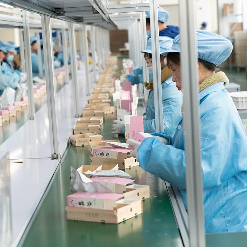 OEM ODM Plastic Vinyl Toy Manufacturer Sell Directly Model Kit Custom Action Figure Blind Box