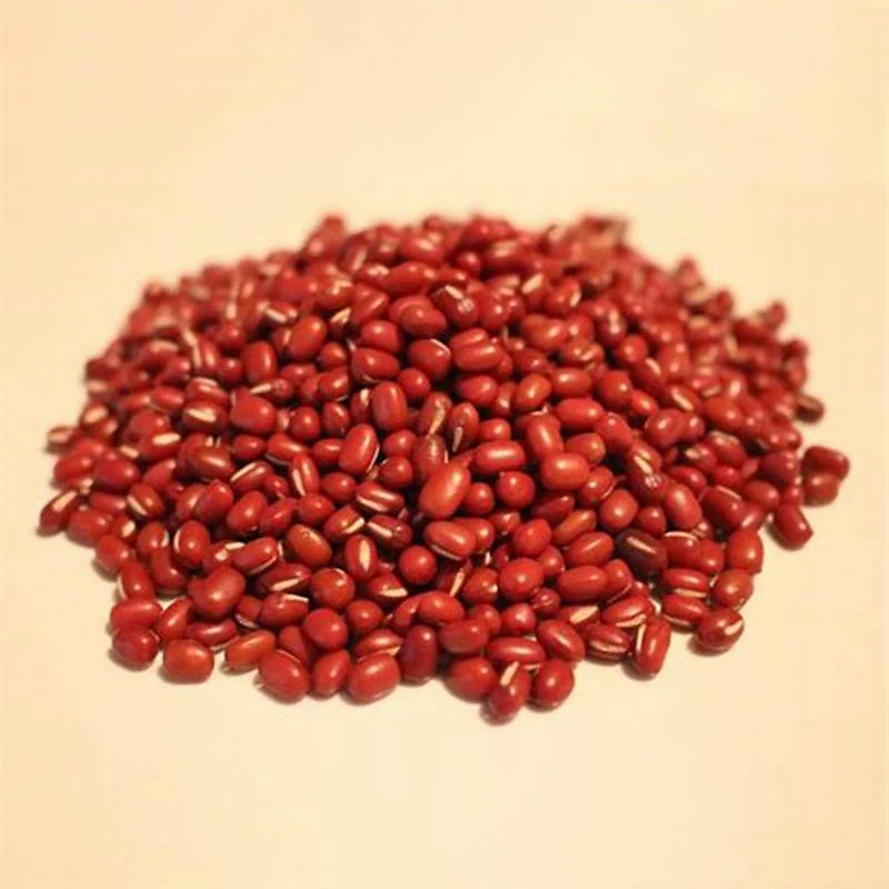 Chinese Small Red Beans adzuki beans azuki bean for sale