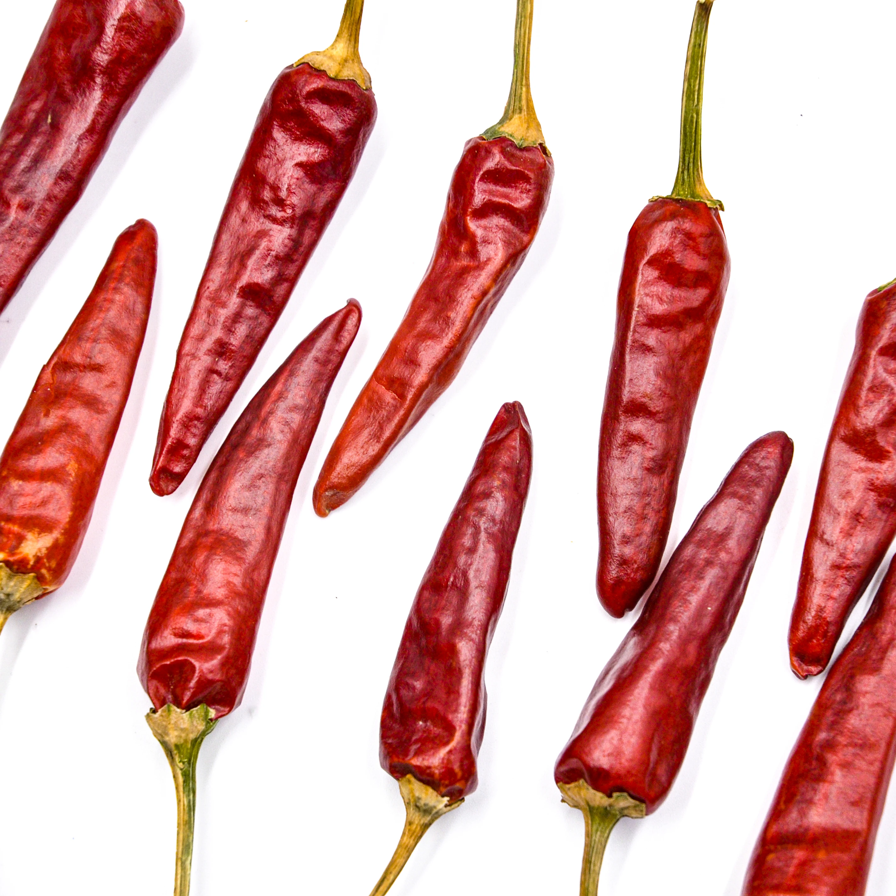 Top Product 100% Pure Dried Chili Best Natural Hot Dry Red Chili Top Quality Dried Red Chili Factory Price