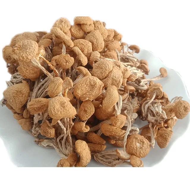 Wholesale high quality delicious white tea mushroom dried mushroom