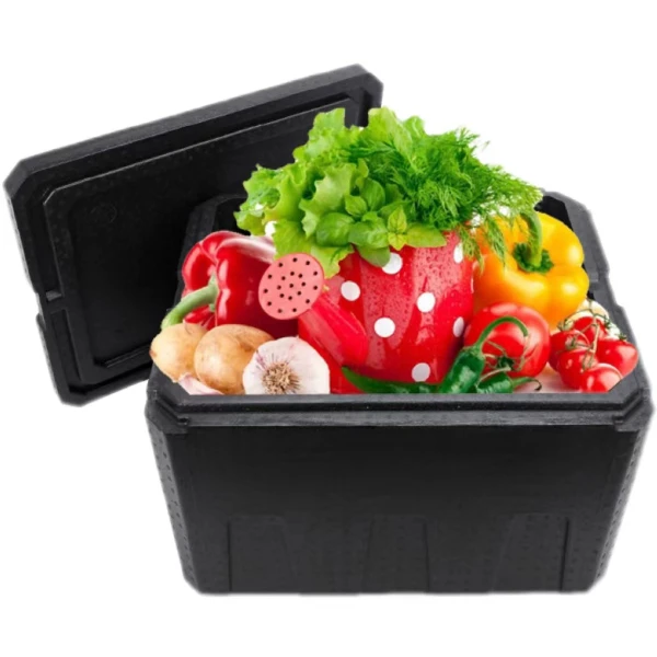 Cold drink Icecream storage delivery EPP foam cooler box freezer for cold and Eco-friendly