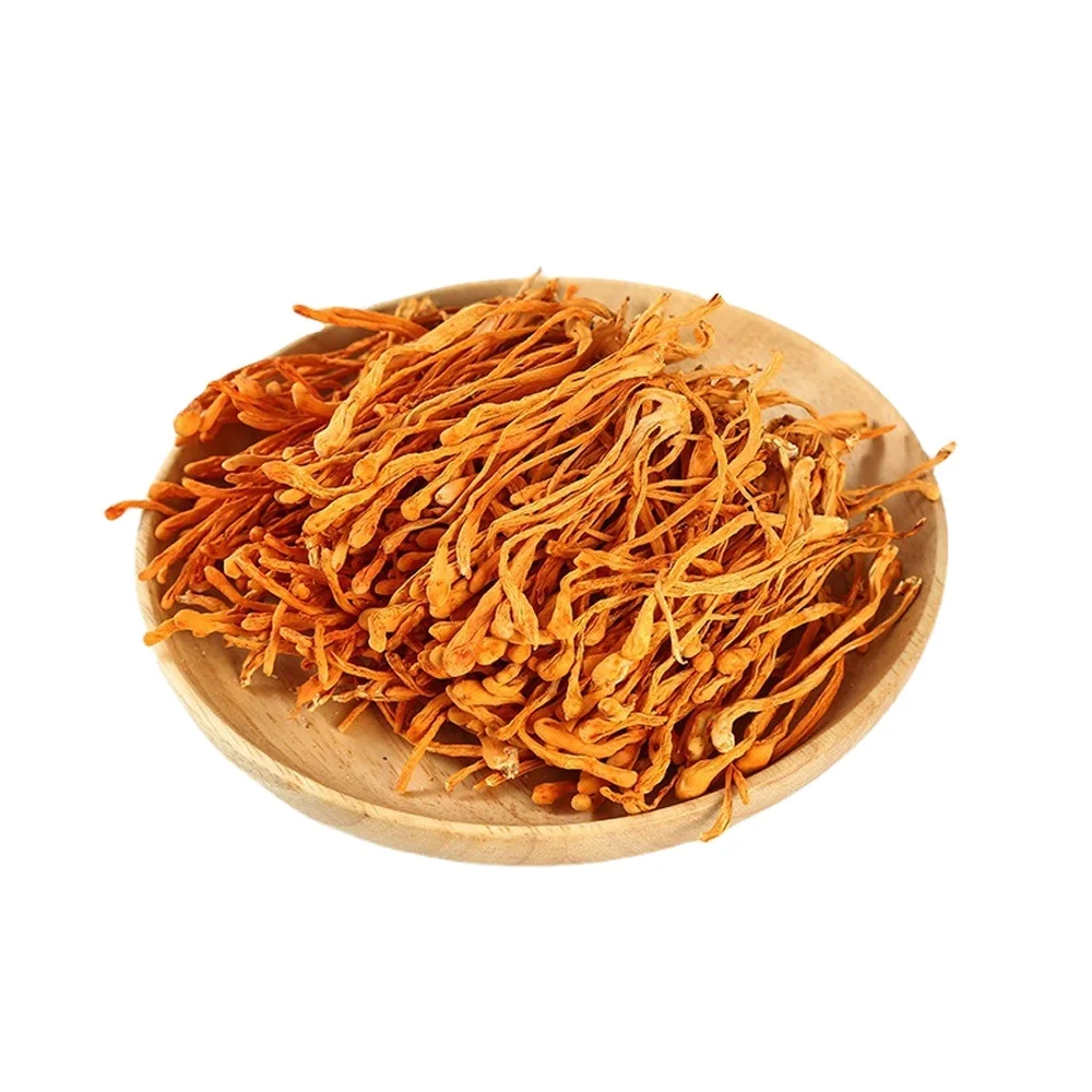 healthy food Chinese caterpillar fungus Cordyceps flower Dried Mushroom Dried Coedyceps Flowest Dried Cordyceps Militaris