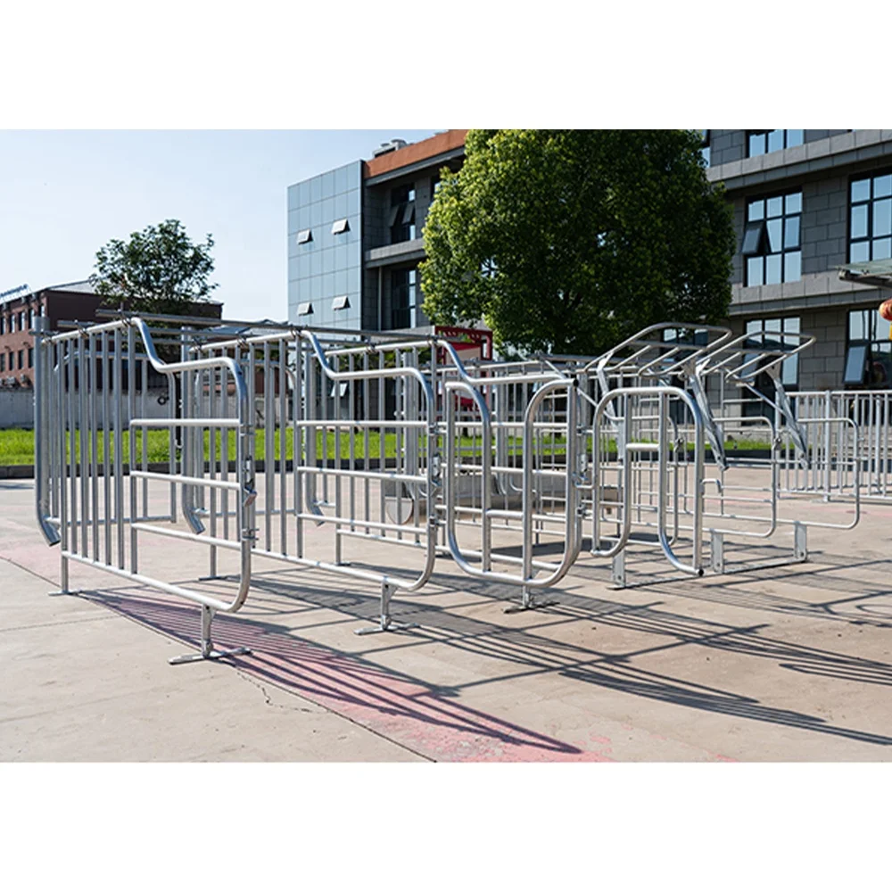 Factory direct sale galvanized cages for pigs in gestation pig farming equipment pig gestation crate