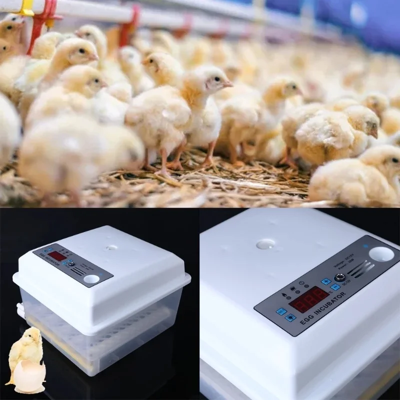 Eggs Incubator Brooder Bird Quail Chick Hatchery Incubator Poultry Hatcher Turner Automatic Farm Incubation Tools R1755