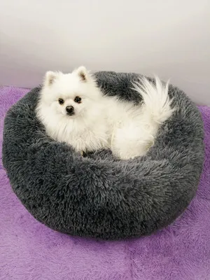 
Self-Warming Pet Bed Cushion Small Medium Large Dog Kennels for Joint-Relief and Improved Sleep Washable Bottom 
