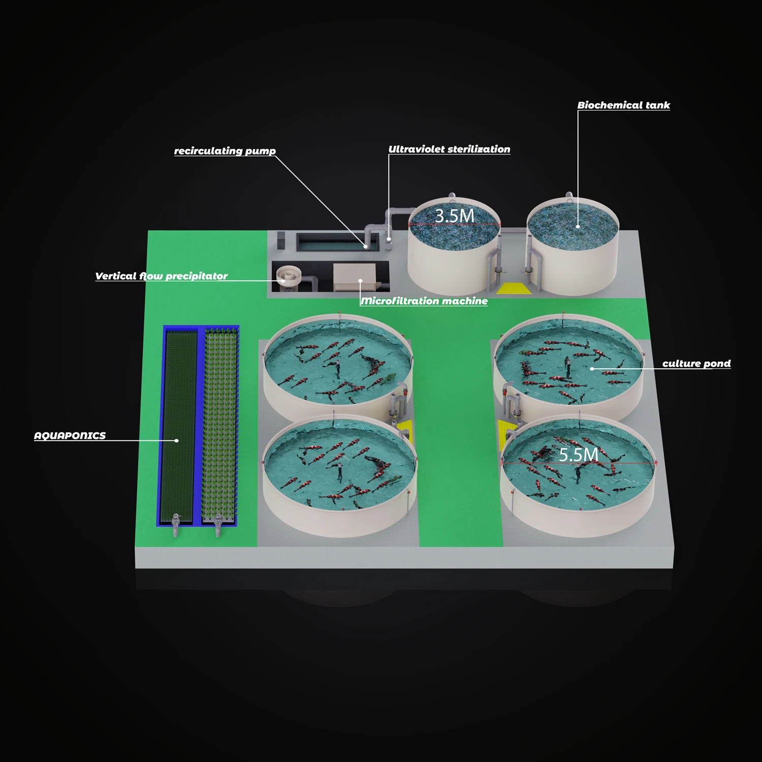 Aquaculture Equipment for Circulating Water Culture Fish Paragenesis Filter and Drum Filter with Protein Skimmer