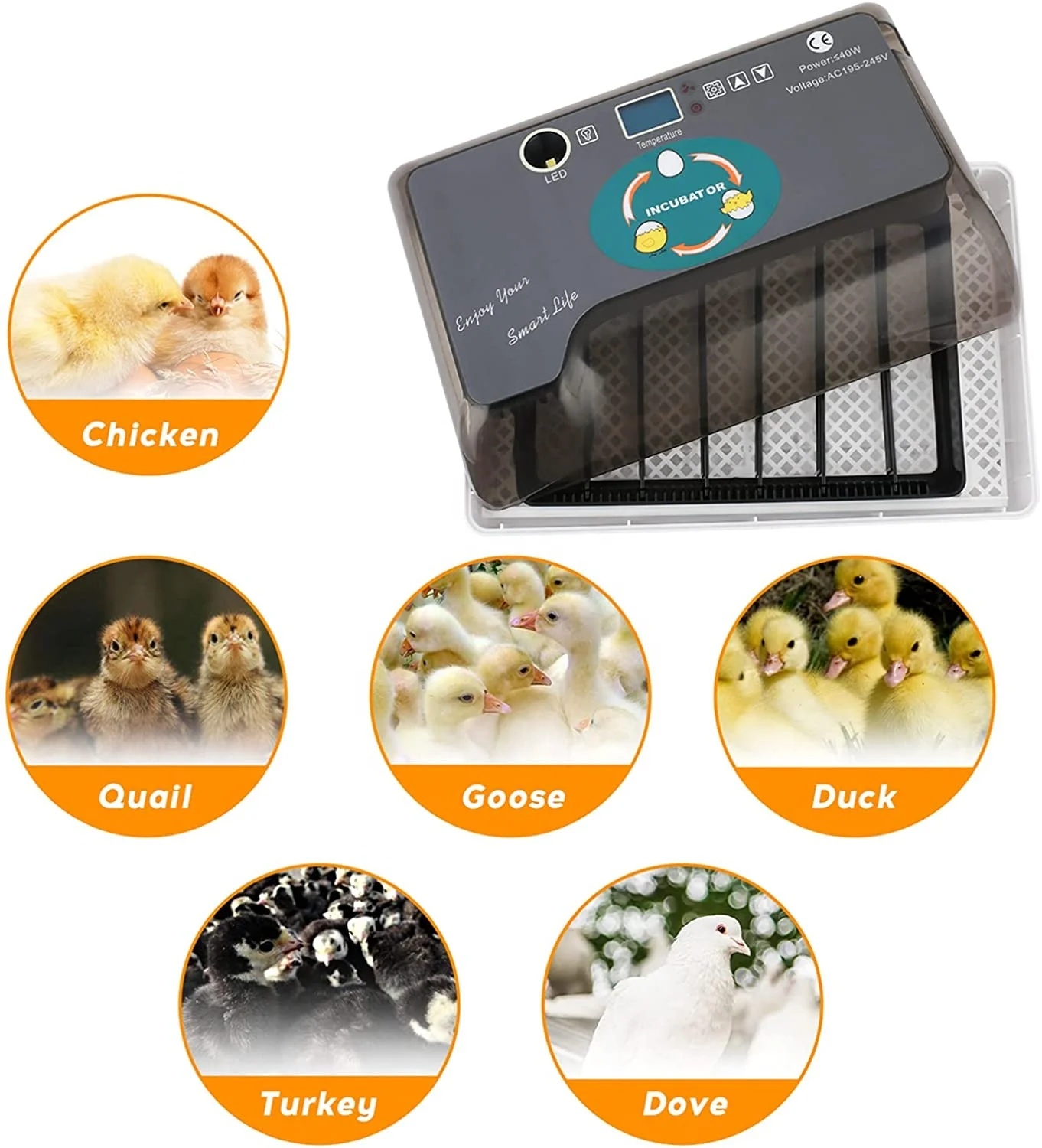  Automatic Egg Hatcher for 12/56 pieces Chicken Household Incubator and Bird Eggs