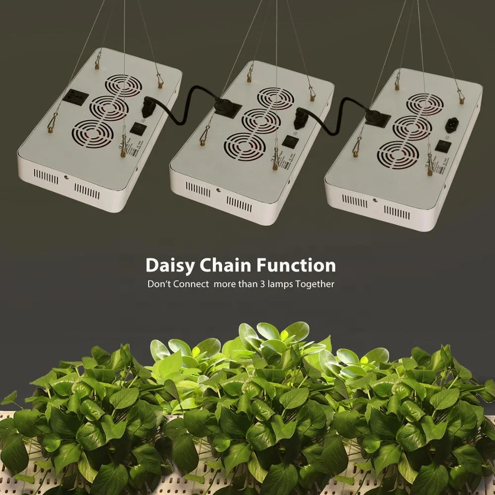 Hot Sale Full Spectrum 600W LED Indoor Aquaponic Growing Systems LED Plants Grow Light