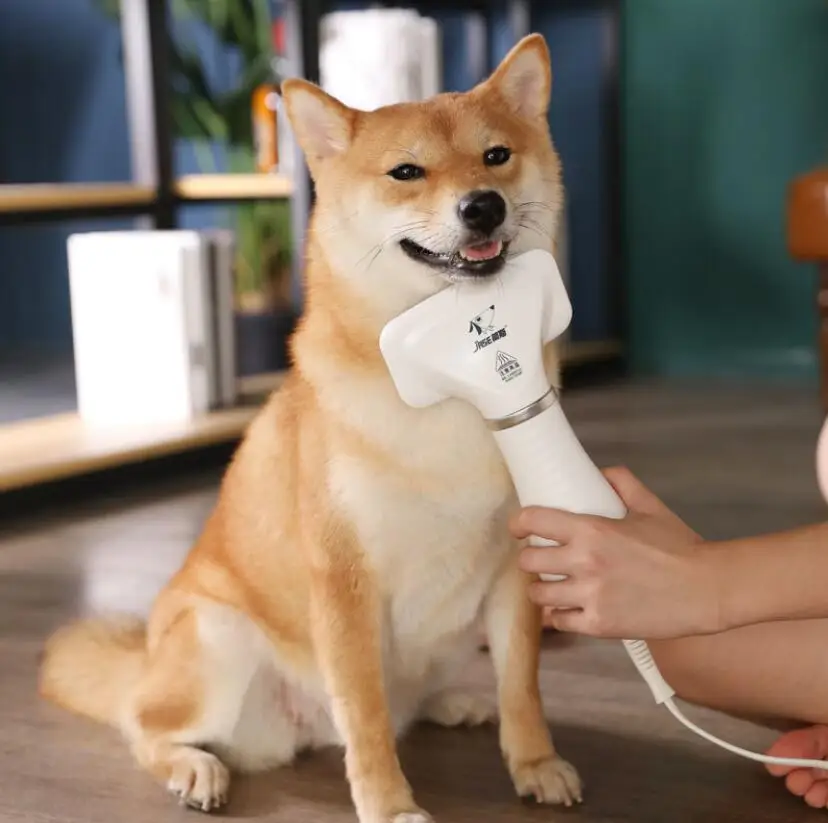 wholesale pet accessories pet hair removal brush comb Blowing and pulling integrated bathing comb