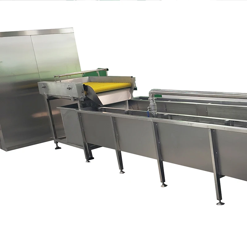 Ligong industrial fruit and vegetable clean processing line salad washer salad washing line