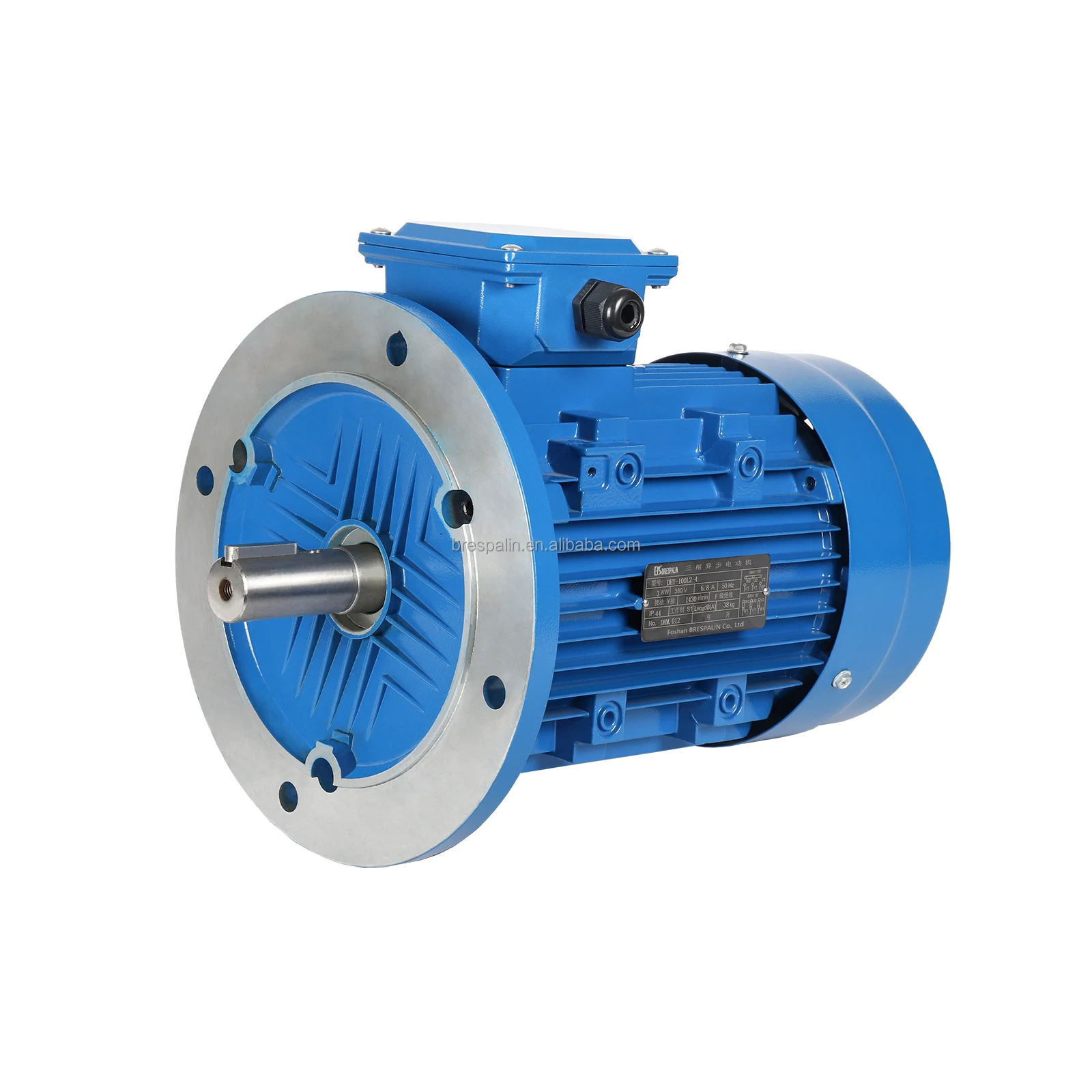 Cast Iron Totally Enclosed Three-Phase Induction Motor Induction AC Electric Motor IP44 IP55