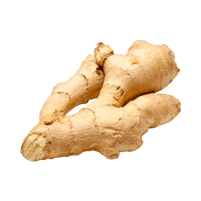 For international markets, we provide Top-quality young ginger and garlic, freshly imported from Vietnam, at competitive prices.