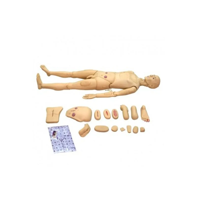 Human Nursing Care Simulator Disassemble Full Body Manikin Male Dummy Model